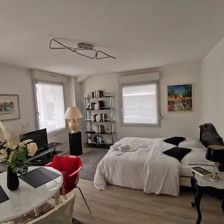 Apartment Le Leon Ungemach - Studio A Schiltigheim